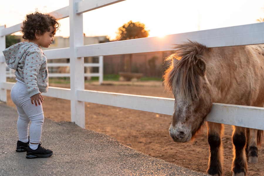 A young child meeting a pony at a club fence